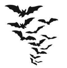 Swirling cloud of bats